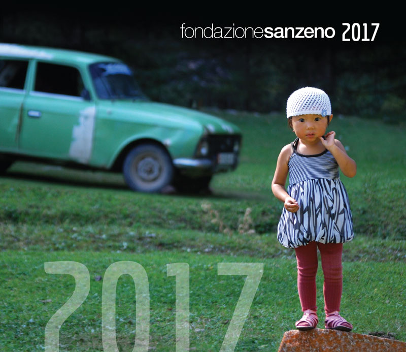 FSZ Brochure 2017